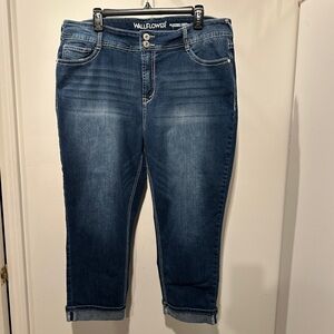 Wallflower Indigo Cropped Stretch Capri Jeans - Size 18